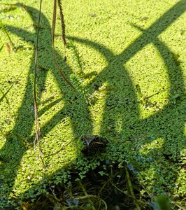 PXL_20250619_114922376~2